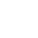 sdvosb-white